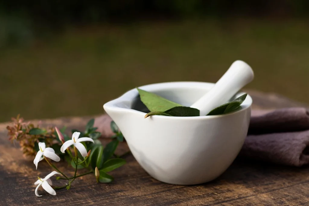 The Philosophy Behind Well Health Organic Ayurveda 1