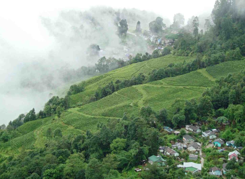 Darjeeling, West Bengal